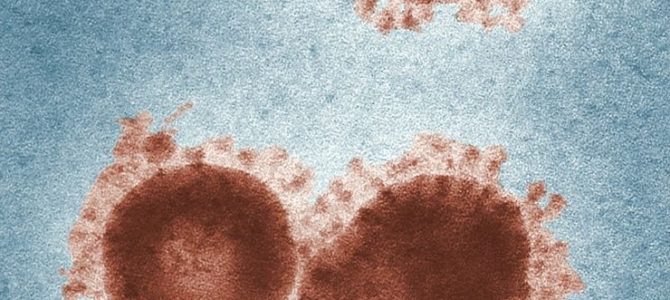 Coronavirus: des informations officielles et fiables