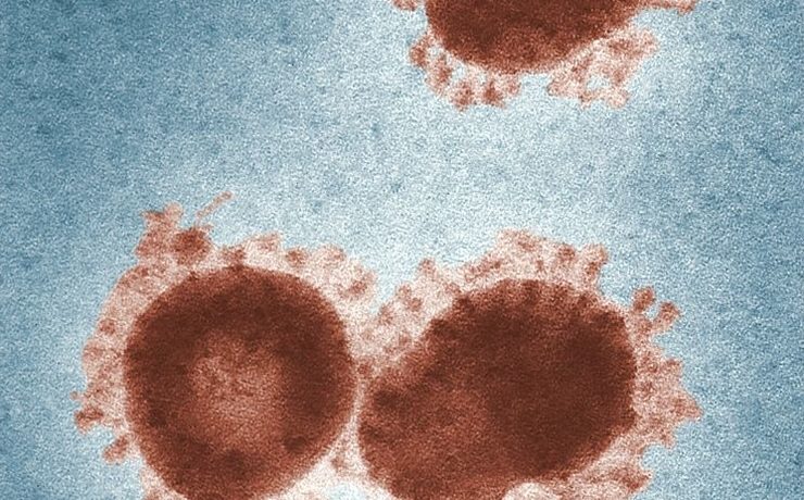 Coronavirus: des informations officielles et fiables